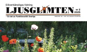 Läs mer om artikeln Ljusglimten nr 2, 2025
