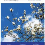 Medlemstidningen Ljusglimten nr 1, 2026